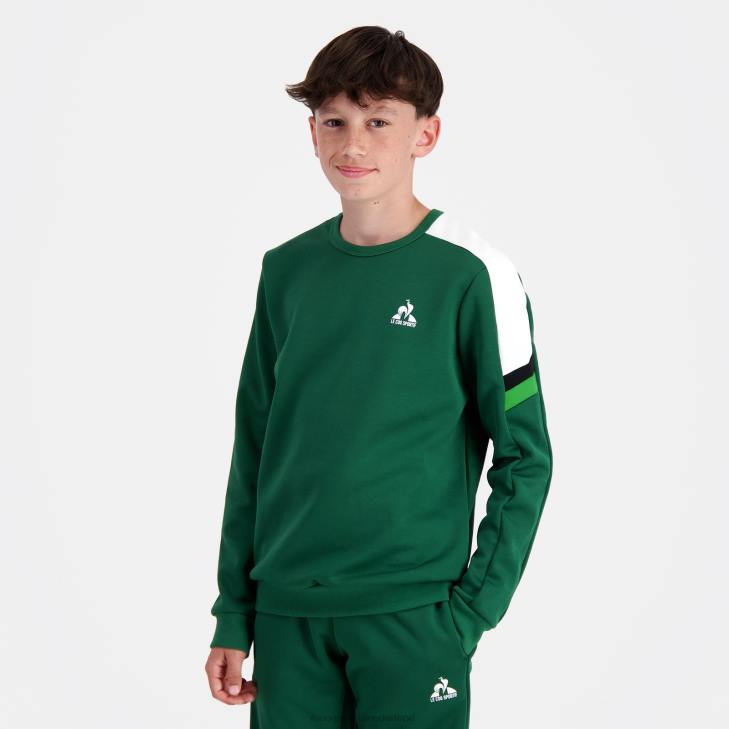 kleding LDBJ392 kinderen Le Coq Sportif sweatshirt groen