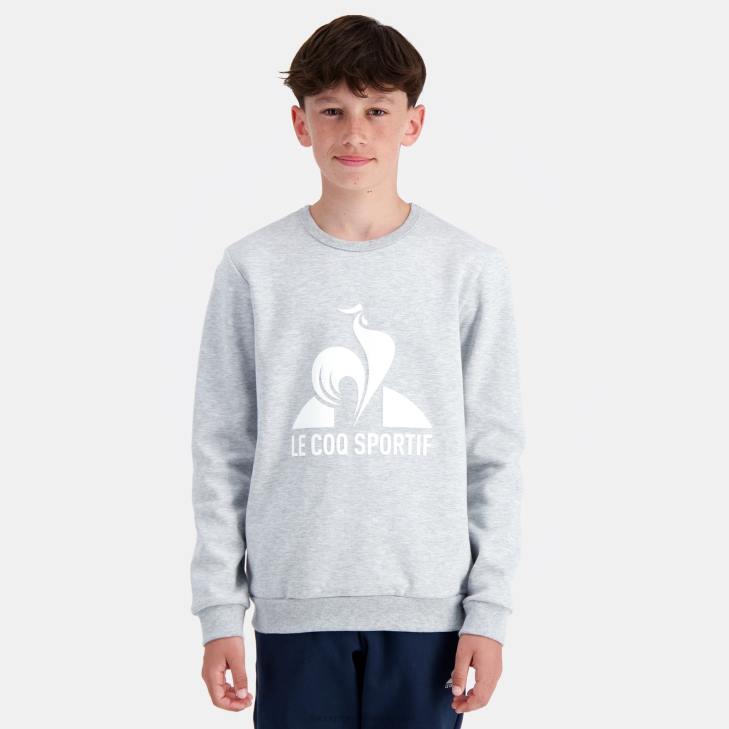 kleding LDBJ397 kinderen Le Coq Sportif sweatshirt grijs