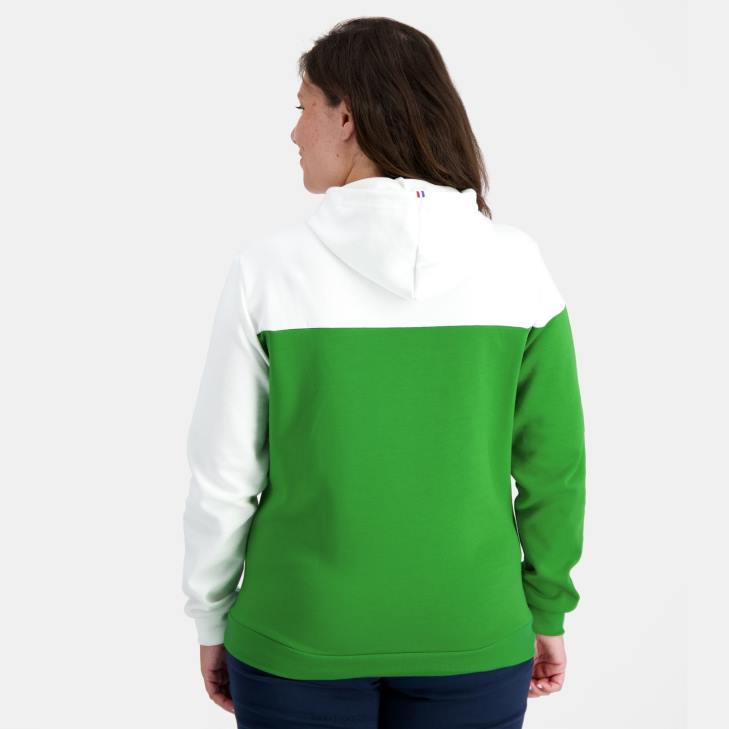 kleding LDBJ17 Heren Le Coq Sportif sweatshirt met capuchon groen
