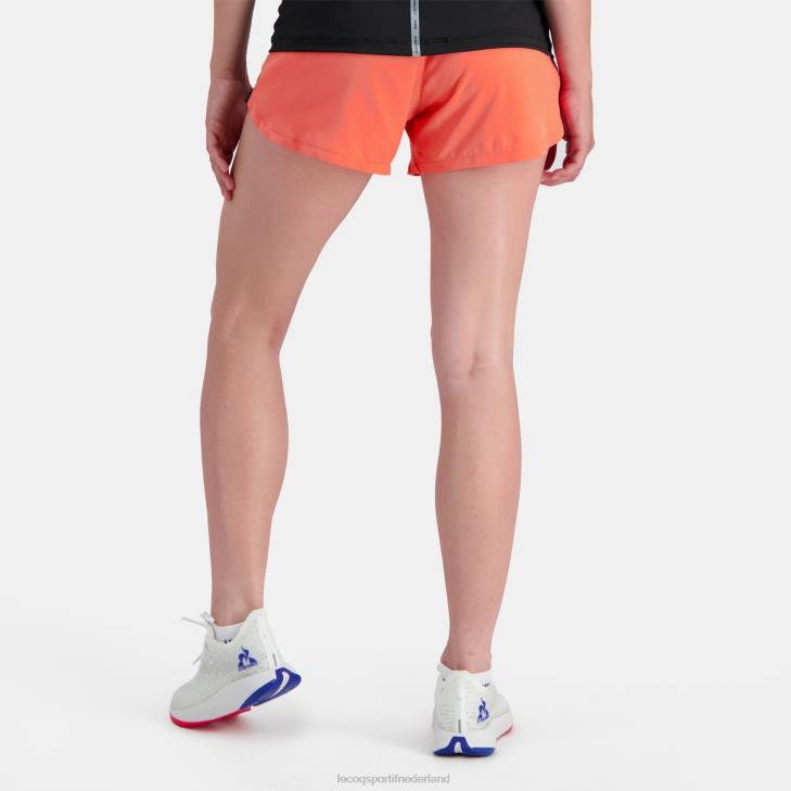 kleding LDBJ333 vrouwen Le Coq Sportif korte broek oranje
