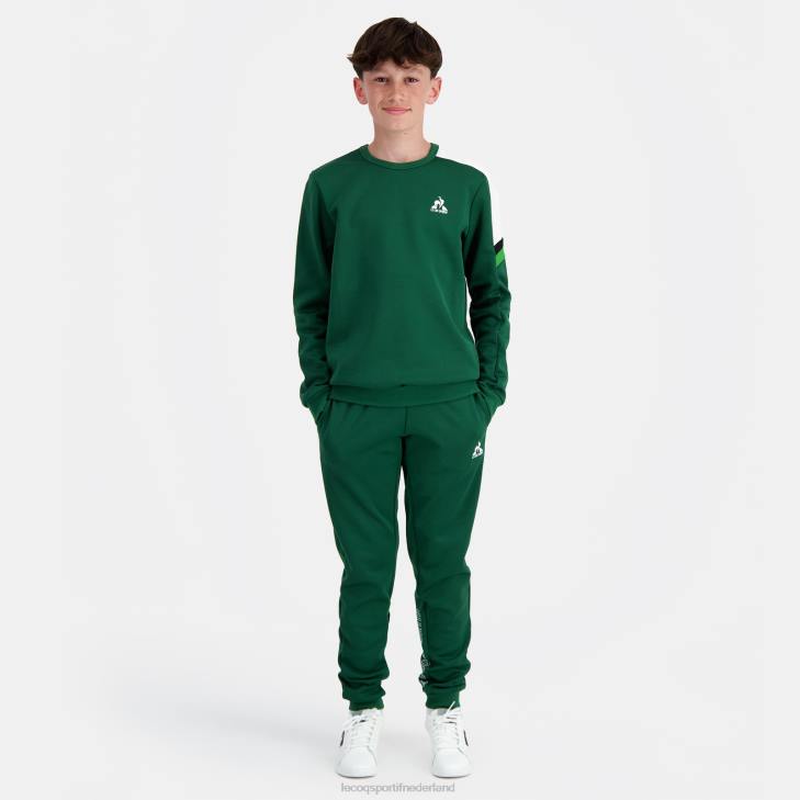 kleding LDBJ392 kinderen Le Coq Sportif sweatshirt groen
