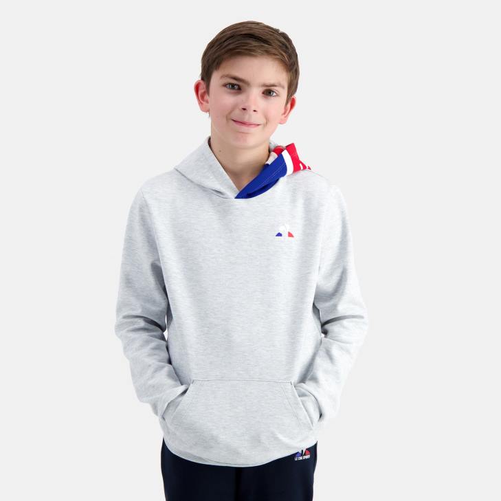 kleding LDBJ393 kinderen Le Coq Sportif sweatshirt met capuchon grijs