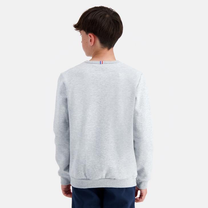 kleding LDBJ397 kinderen Le Coq Sportif sweatshirt grijs