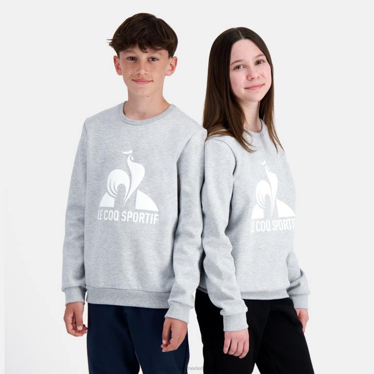kleding LDBJ397 kinderen Le Coq Sportif sweatshirt grijs