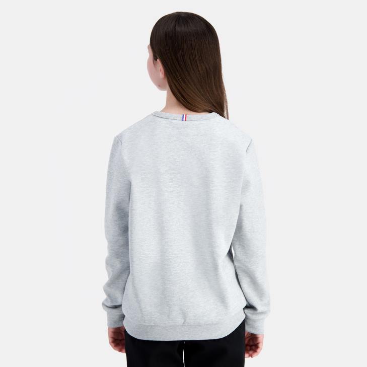 kleding LDBJ397 kinderen Le Coq Sportif sweatshirt grijs