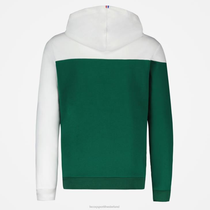 kleding LDBJ436 Heren Le Coq Sportif sweatshirt met capuchon groen