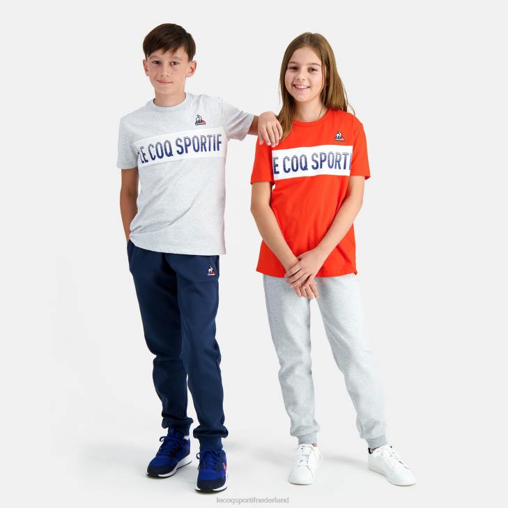 kleding LDBJ640 kinderen Le Coq Sportif t-shirt grijs