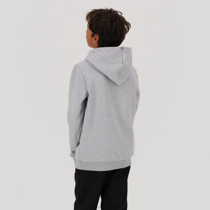 kleding LDBJ669 kinderen Le Coq Sportif sweatshirt met capuchon grijs